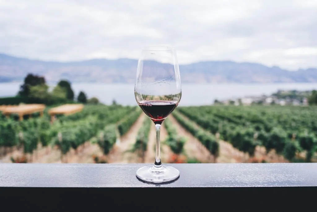 Wine tasting at a Mallorca vineyard